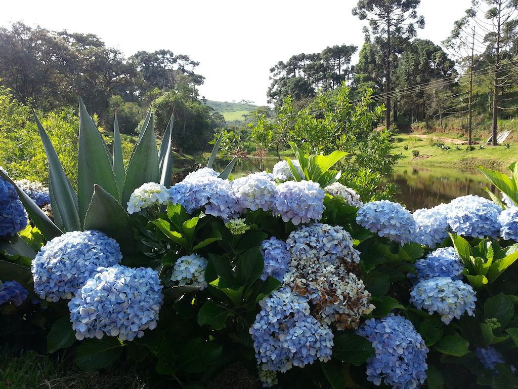 Pousada Da Oma Cunha Esterno foto